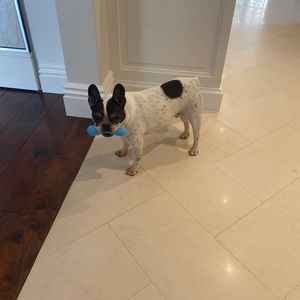 Meet your Posher, Jeanna